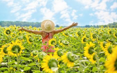 Vom Termindruck in die Freiheit: Warum ein entspannter Urlaub vor den Ferien beginnt!